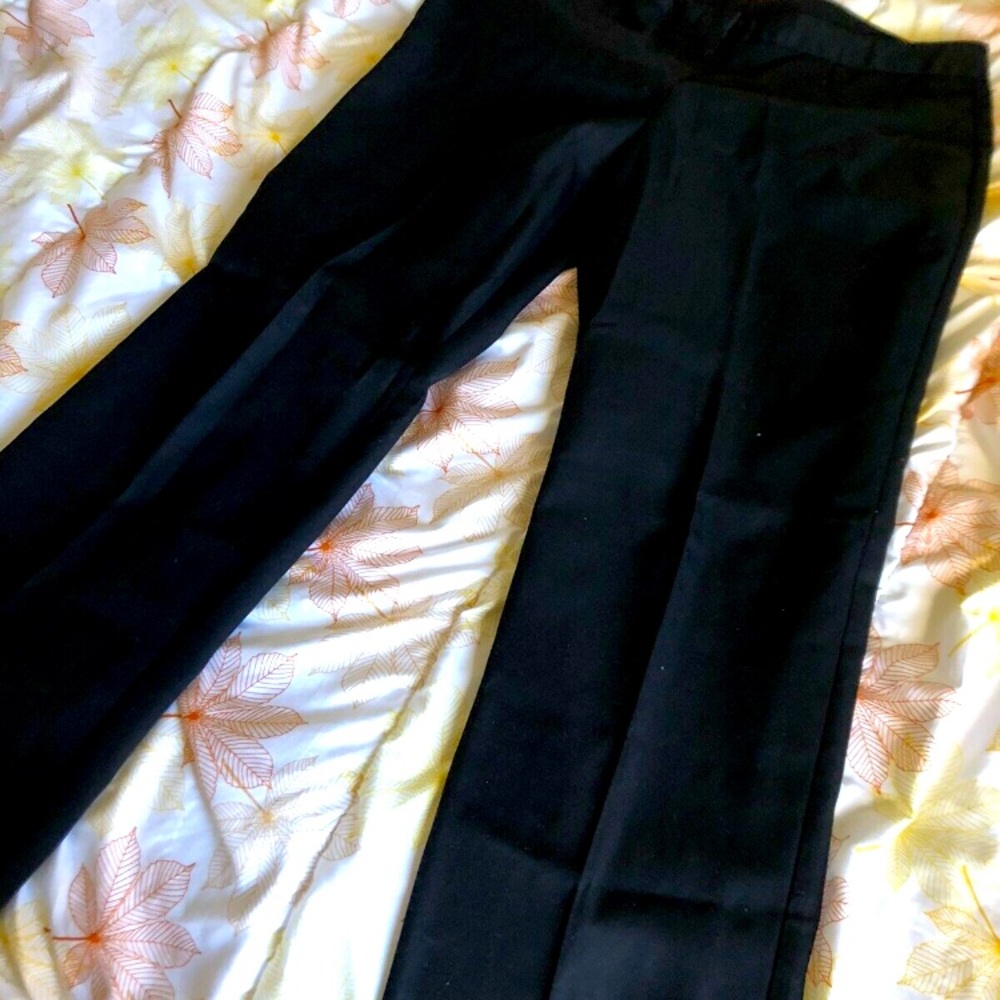 Regina Assumpta pants 40